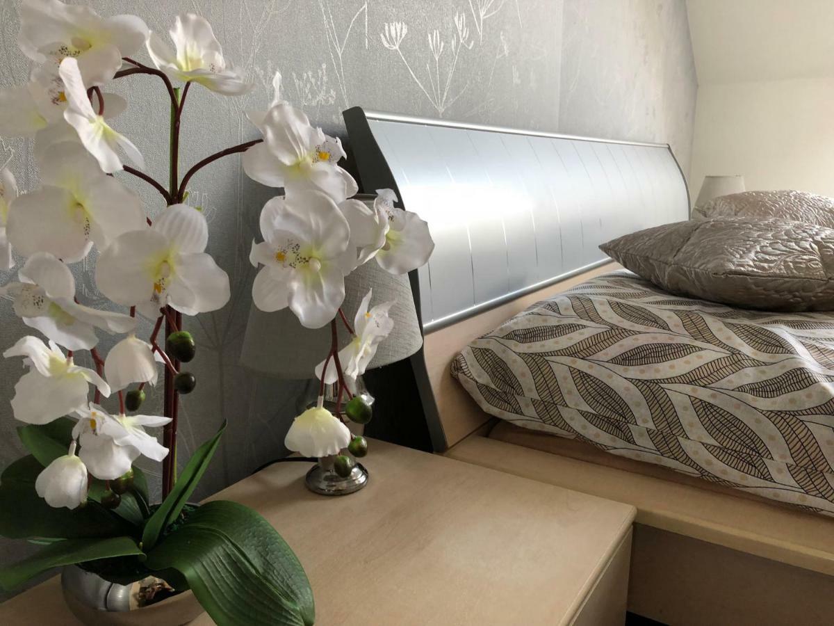 Family & Business Elegant Apartments Ul Warszawska - 2 Bedroom, Balcony, Parking キェルツェ エクステリア 写真